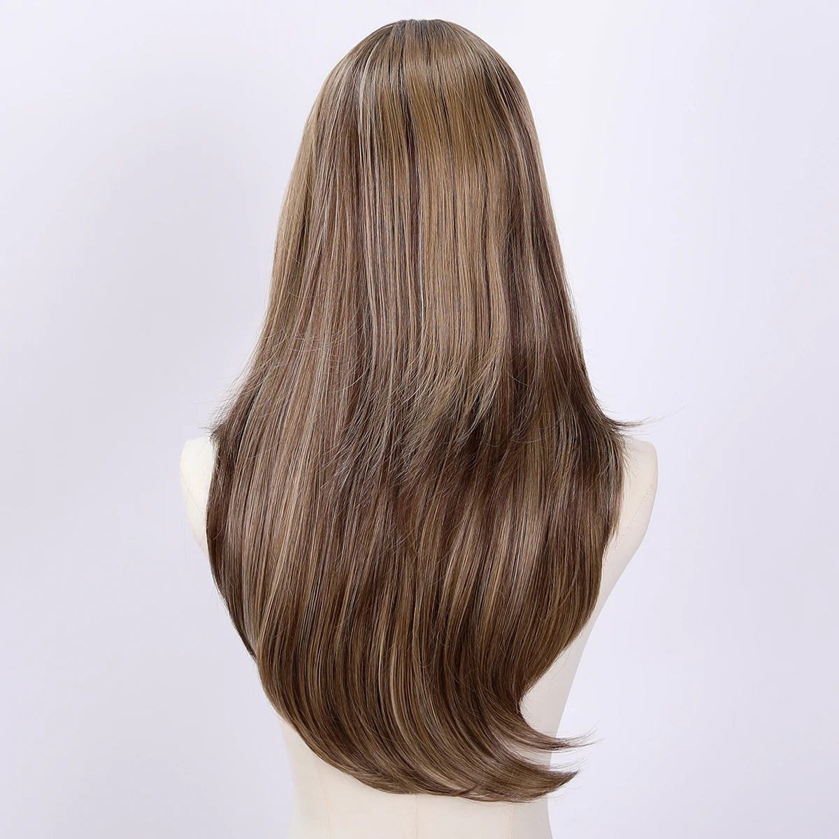 Brown with Highlights Long Straight 13x6 Lace Front Wig Back view