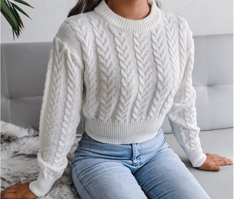 Crew Neck Knit Sweater | Women's Slim Pullover